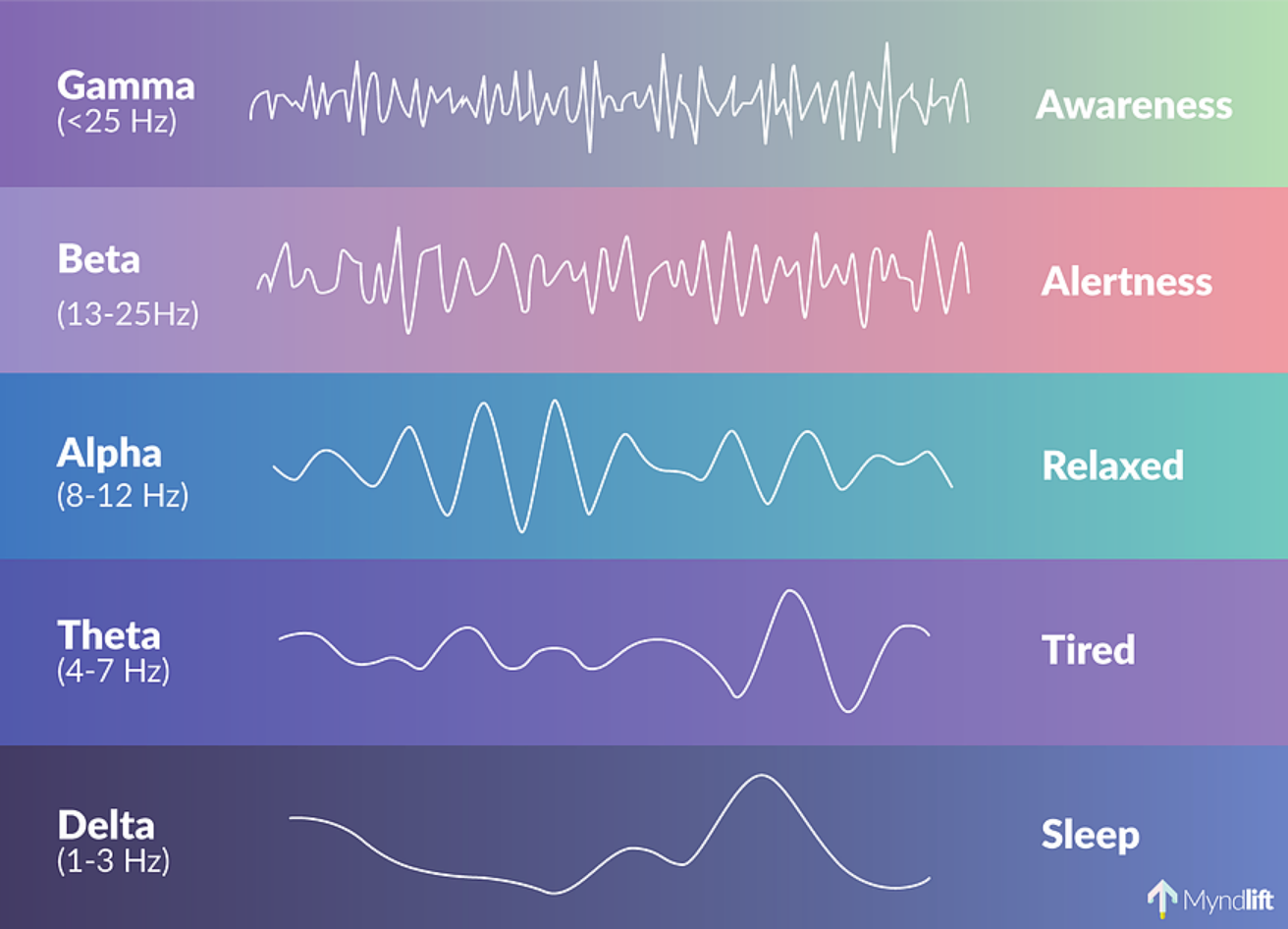 eeg_example